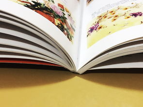 成都百鉑文化 專業(yè)打造家具家居產(chǎn)品宣傳畫冊，賦能品牌形象